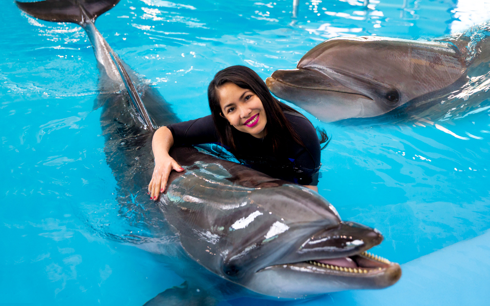 Swimming with dolphins at Dubai Dolphinarium.