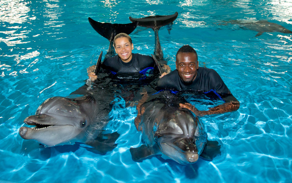 Swimming with dolphins at Dubai Dolphinarium.