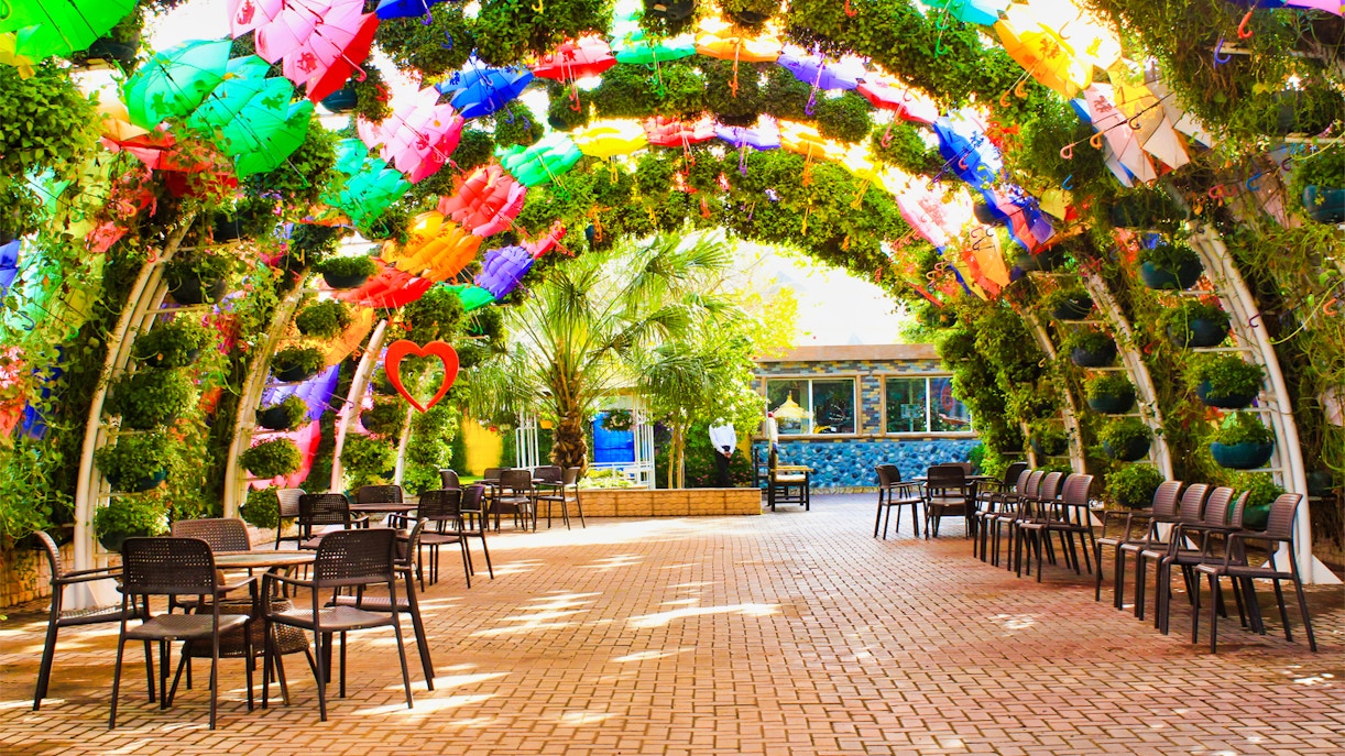 dubai butterfly garden accessibility