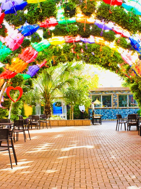 Colorful umbrella archway at Dubai Butterfly Garden with seating area.