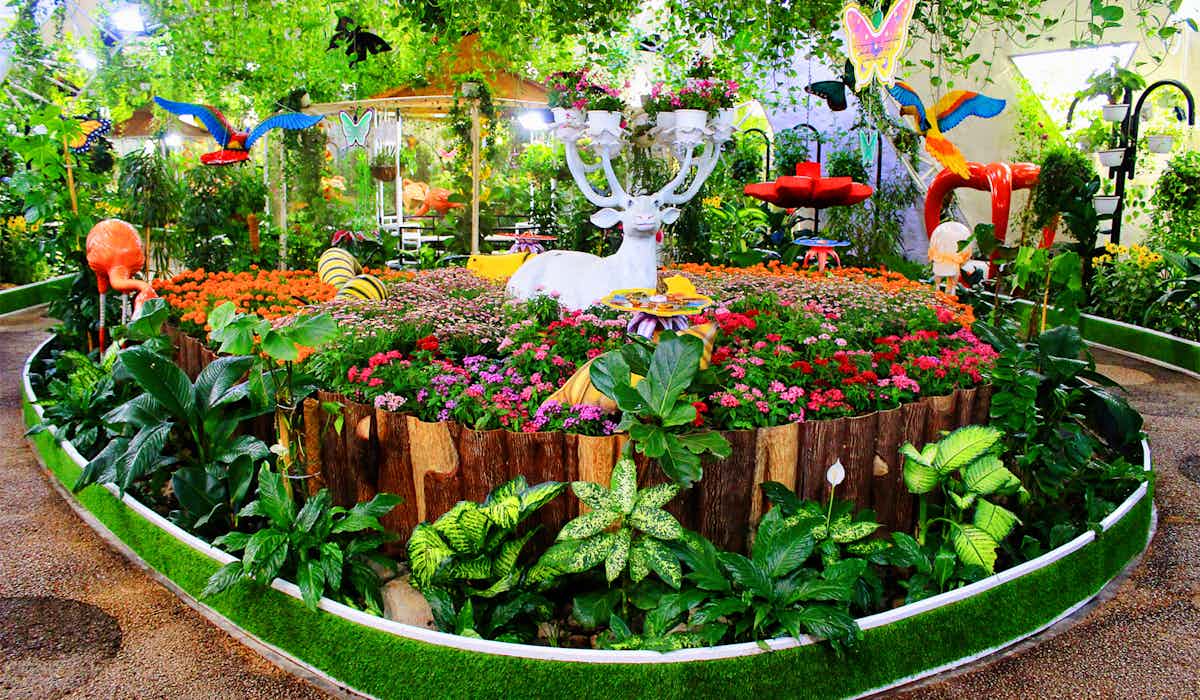 Dubai Butterfly Garden