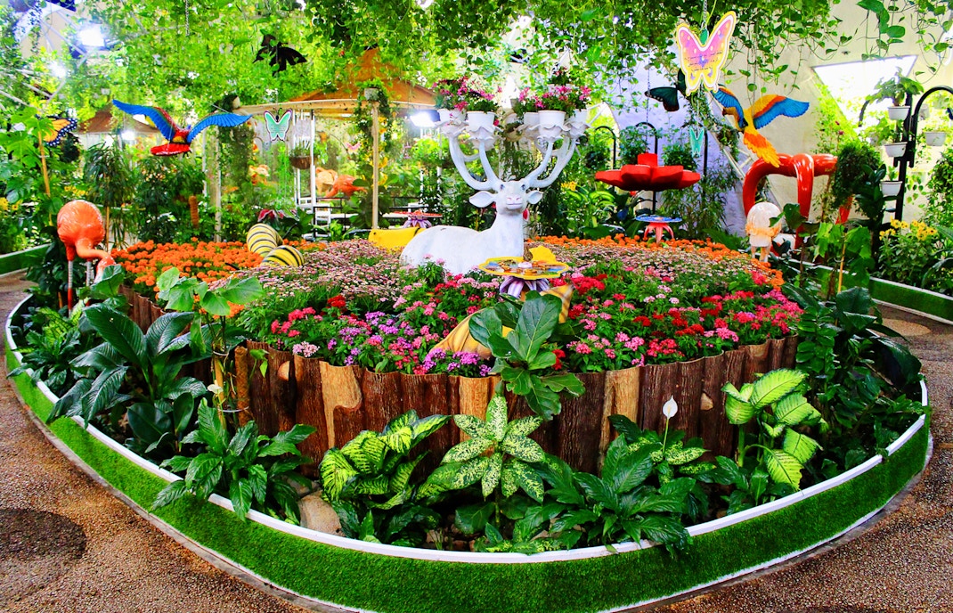 Visitors at Dubai Butterfly Garden viewing diverse butterfly species with skip-the-line tickets.