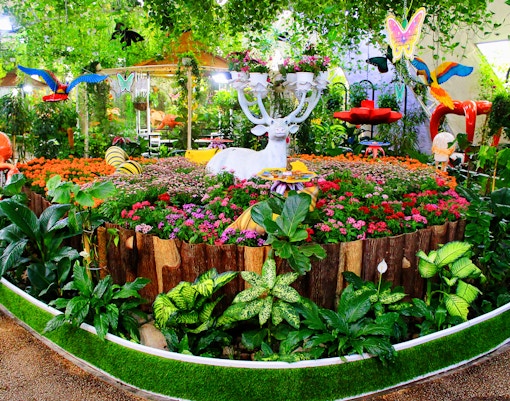 Dubai Butterfly Garden Plan Your Visit