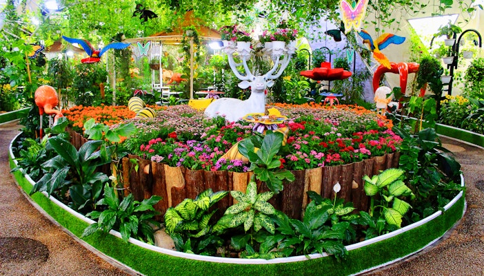 Visitors exploring vibrant flora and butterfly sculptures at Dubai Butterfly Garden.