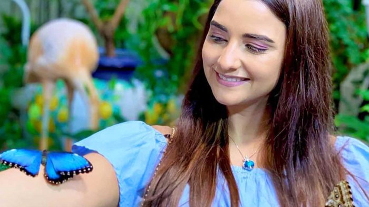 Dubai Butterfly Garden tickets