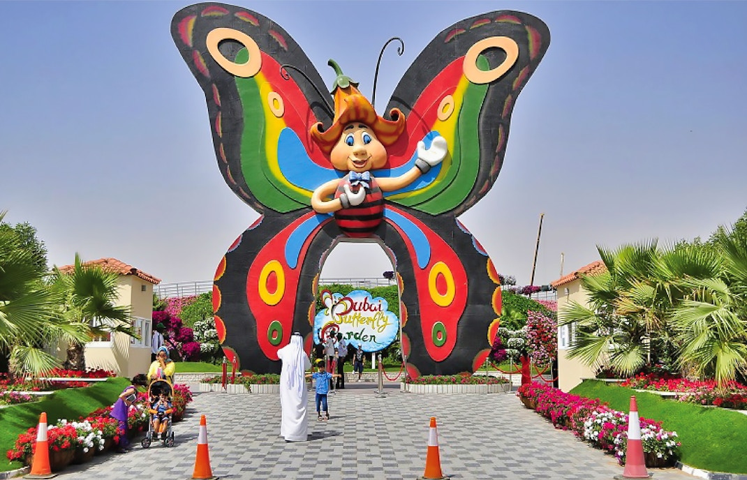 Dubai Butterfly Garden Plan Your Visit