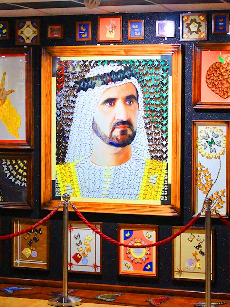 Butterfly art display at Dubai Butterfly Garden featuring intricate designs and portraits.
