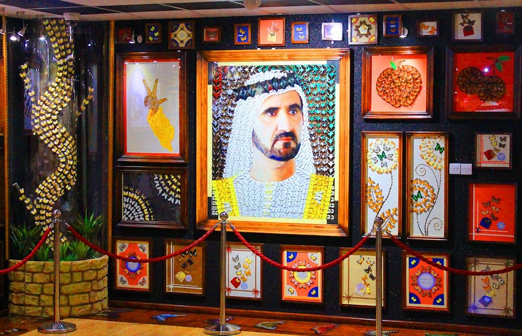 Dubai butterfly garden