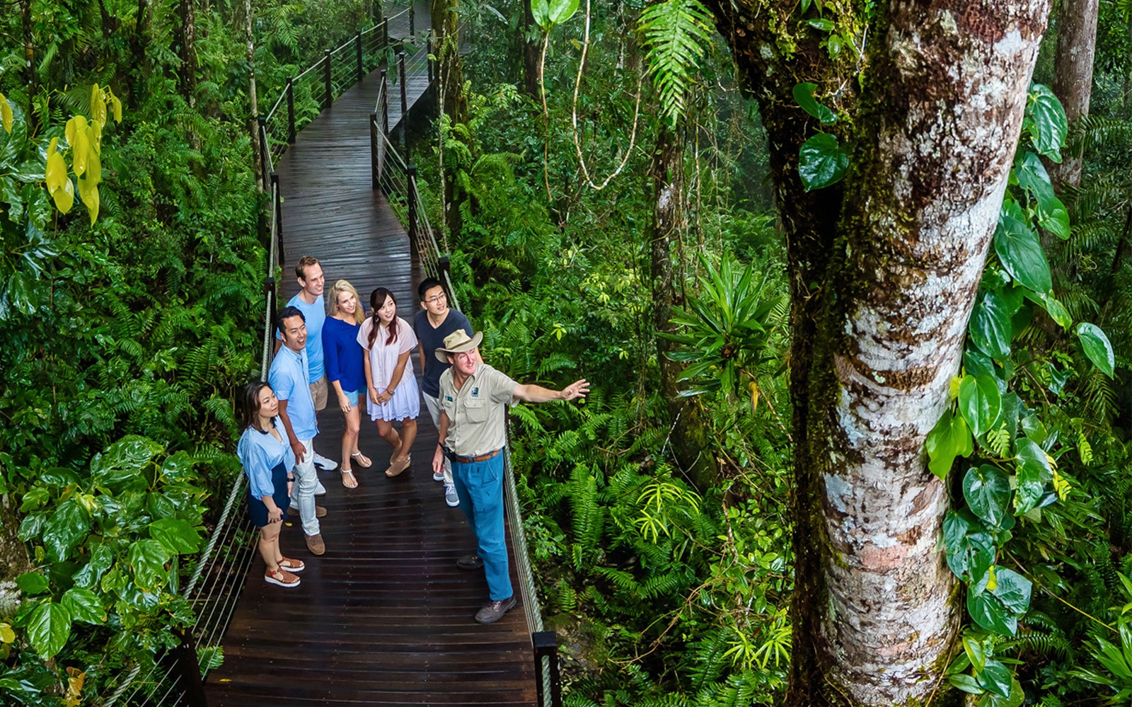Kuranda Skyrail Rainforest Cableway gliding over lush tropical rainforest in Cairns, Australia.