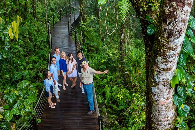 Kuranda Skyrail