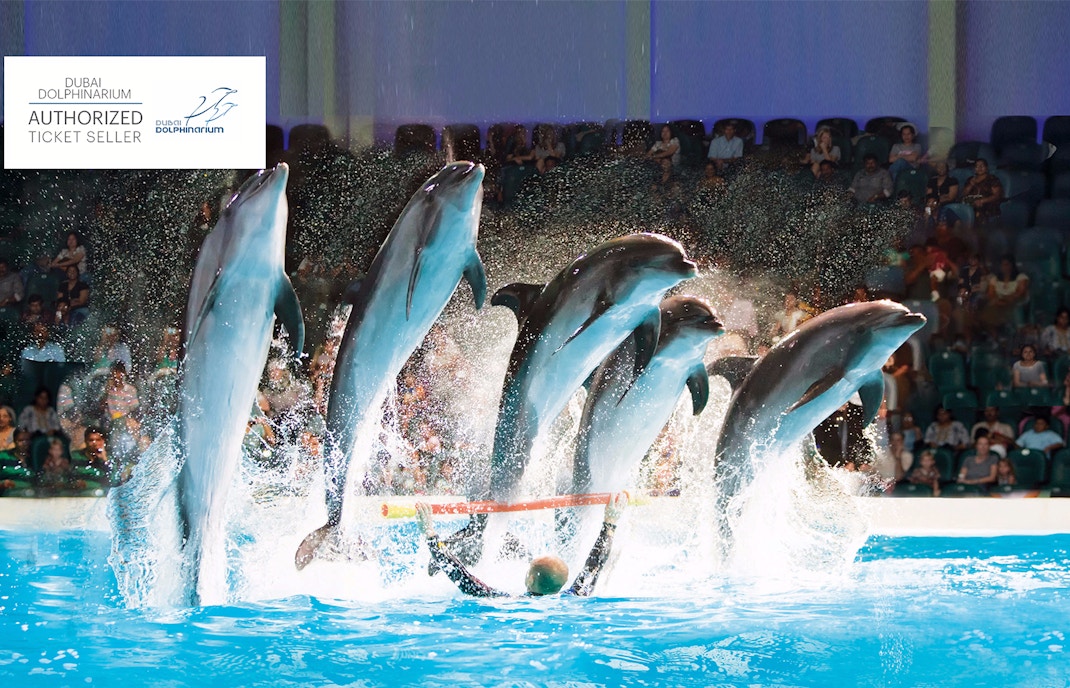 dolphinarium dubai