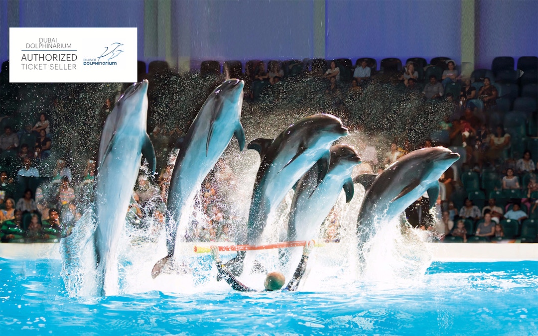 dolphinarium dubai