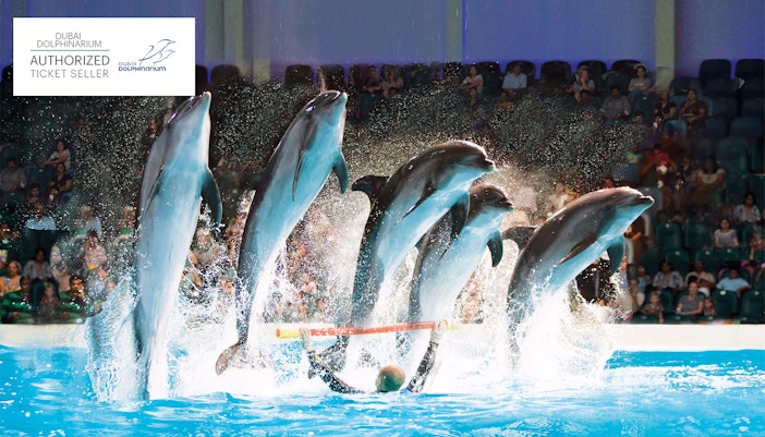 Orari del Dubai Dolphinarium