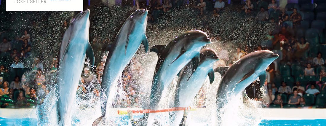 Dubai Dolphinarium