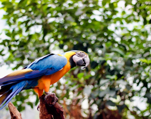 Best Time to Visit - May