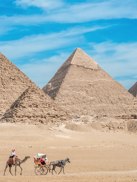 Camel and cart near the Pyramids of Giza on a private tour.