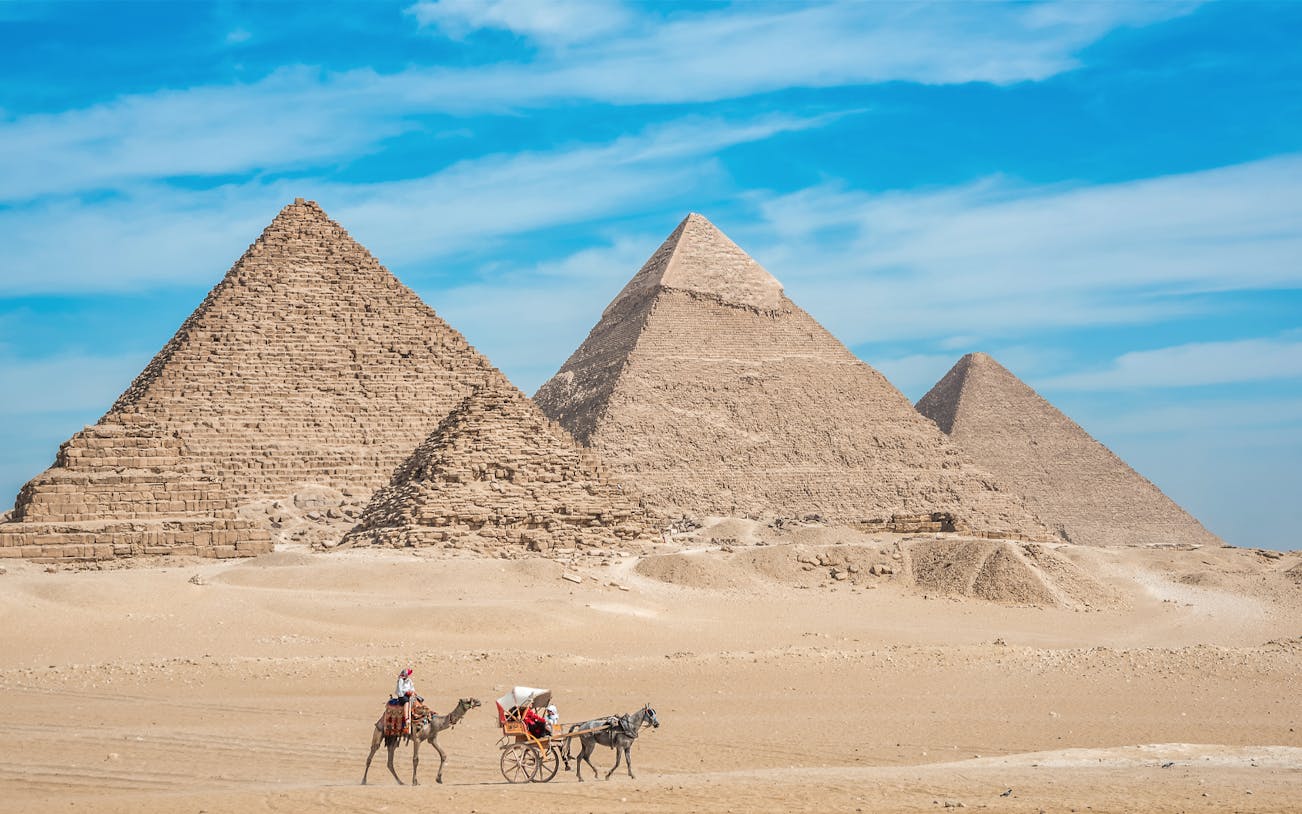 Camel and cart near the Pyramids of Giza on a private tour.