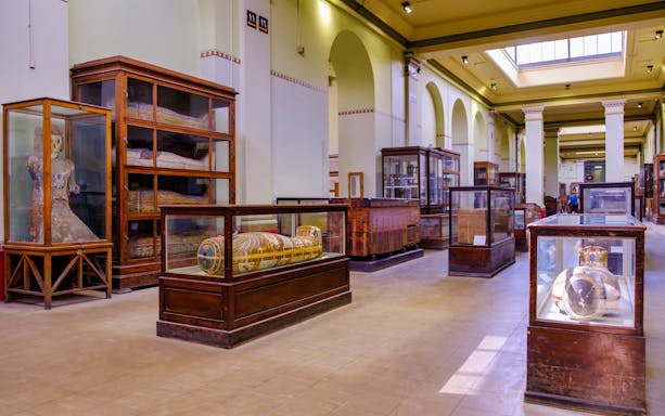 Egyptian Museum interior with ancient artifacts in glass cases, part of skip-the-line guided tour.