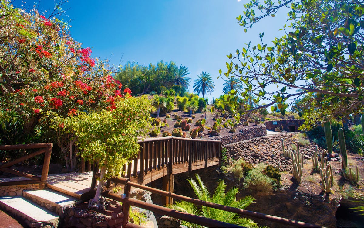 oasis wildlife fuerteventura entry ticket-6 oasis wildlife fuerteventura entry ticket-6