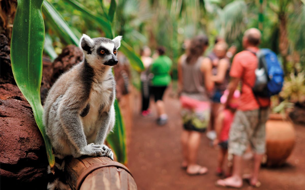 oasis wildlife fuerteventura entry ticket-3 oasis wildlife fuerteventura entry ticket-3