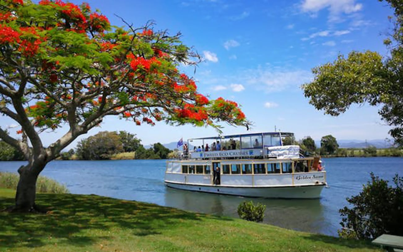 Cruise boat on Tweed River near vibrant tree, Australia.