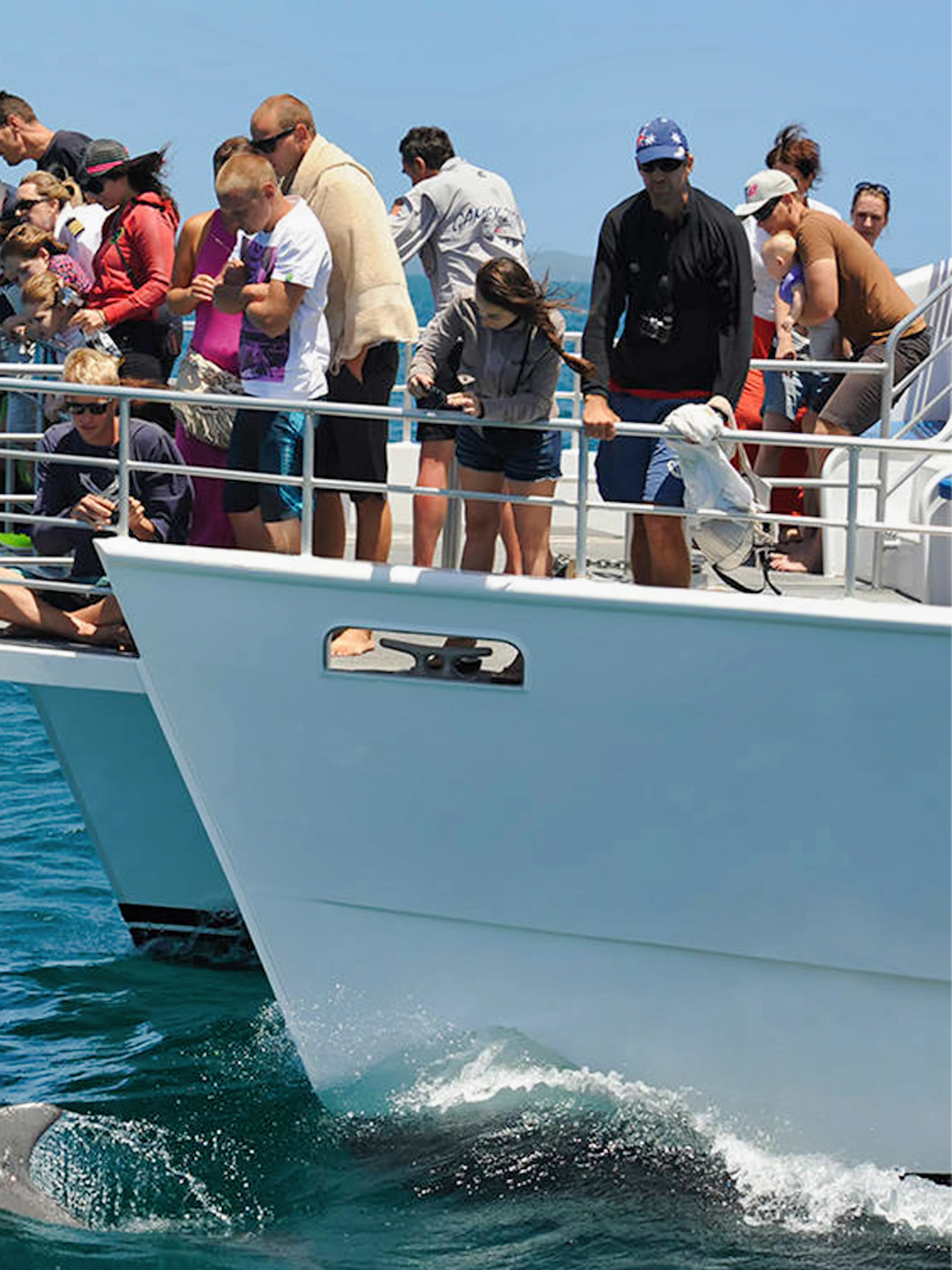 Tourists watching dolphins from a boat on Jervis Bay Dolphin Watch Cruise, Sydney.