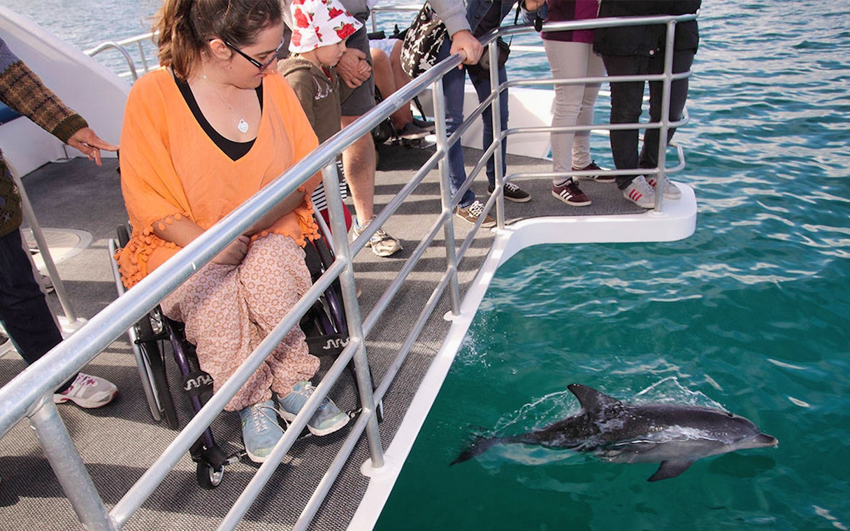 Visitors on a boat watching a dolphin swim in Jervis Bay during a Sydney cruise.