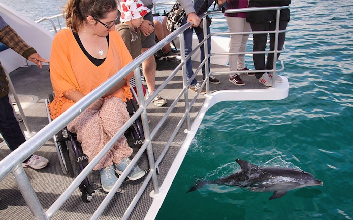 Visitors on a boat watching a dolphin swim in Jervis Bay during a Sydney cruise.