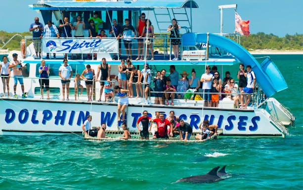 Tourists on a dolphin watching cruise in Port Stephens, with dolphins swimming nearby.