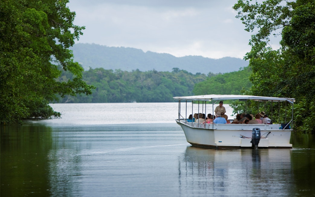 Boat tour on a river in Daintree Rainforest, Cape Tribulation, with lush greenery.