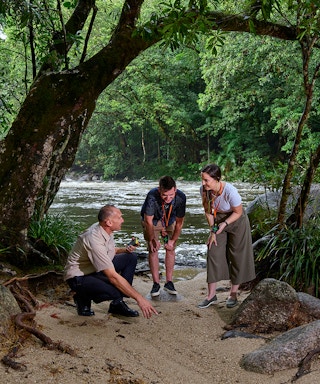 guided tour of cape tribulation, daintree & mossman gorge with hotel transfers + lunch-7