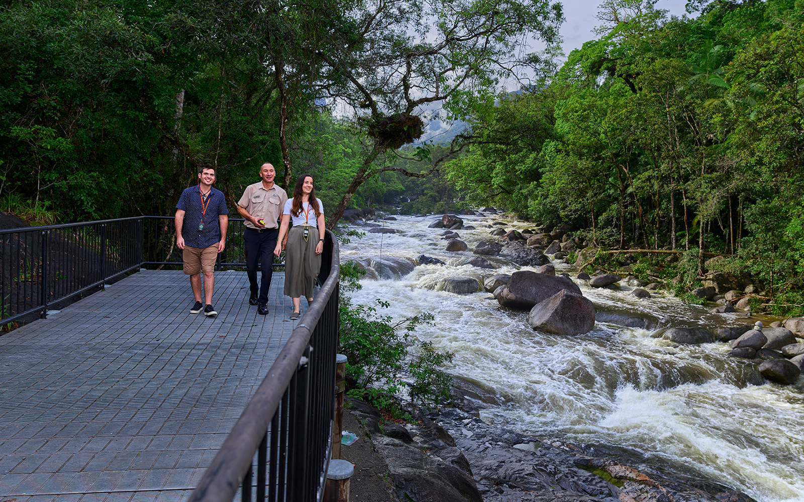 Tour group walking along a boardwalk beside a river in Daintree Rainforest, Cape Tribulation.
