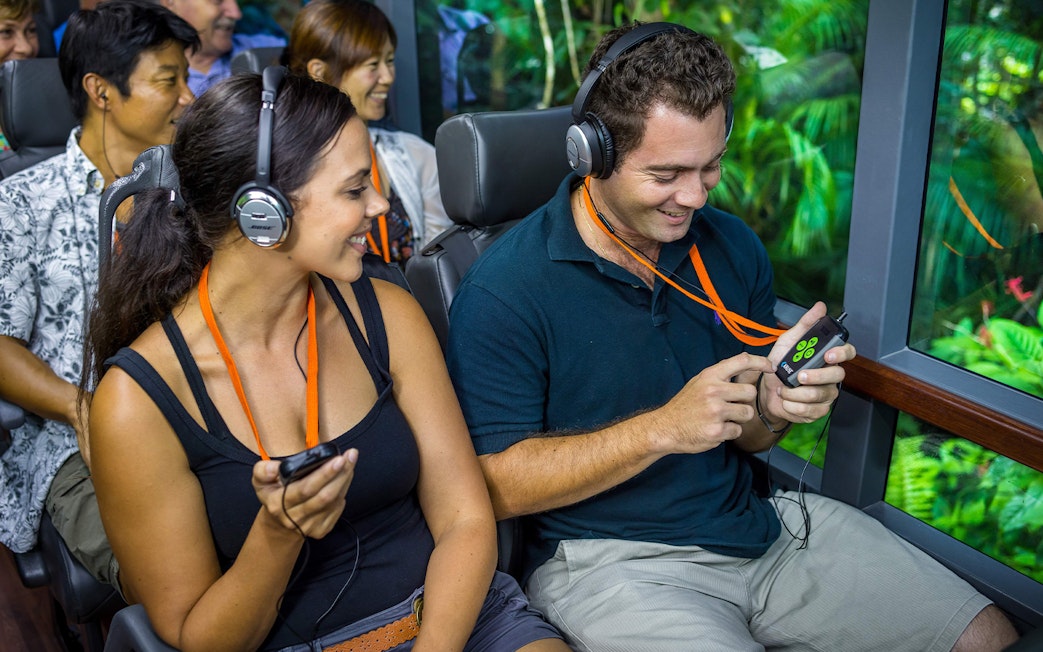 Tourists enjoying an audio-guided tour through the rainforest in Cape Tribulation, Daintree.
