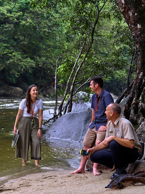 Tourists enjoying a guided walk by the river in Daintree Rainforest, Cape Tribulation.