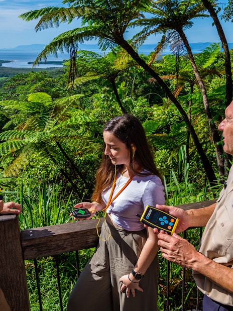 Tourists enjoying a guided tour at Cape Tribulation with views of Daintree Rainforest.
