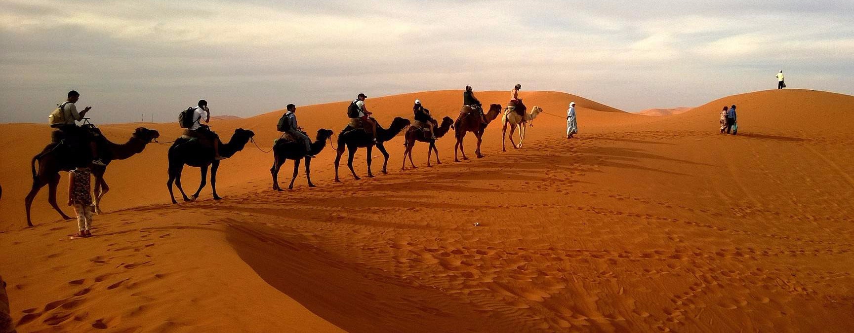 dubai morning safari