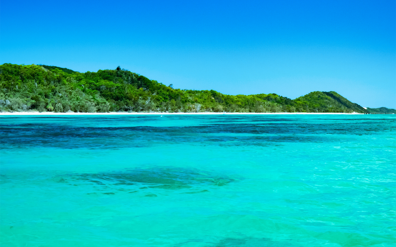 Moreton Island Day Trip Tickets Sandboard, Kayak & Snorkel Headout