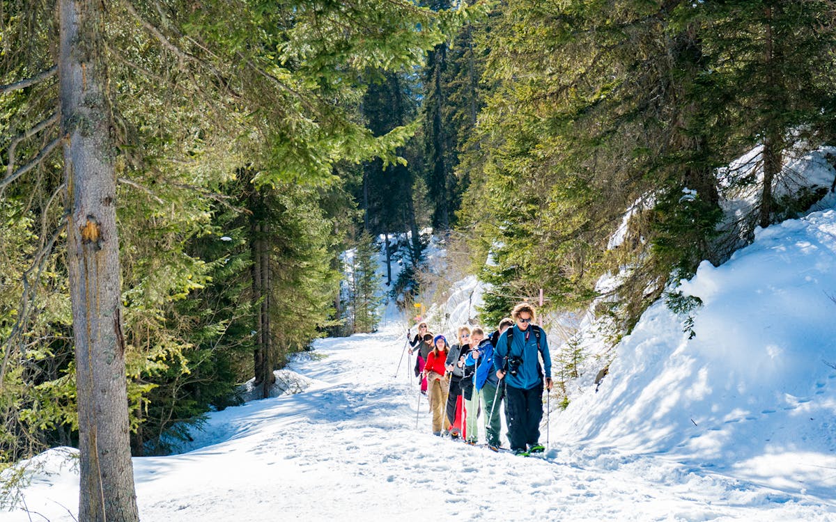 from interlaken: guided snowshoe tour isenfluh-7 from interlaken: guided snowshoe tour isenfluh-7
