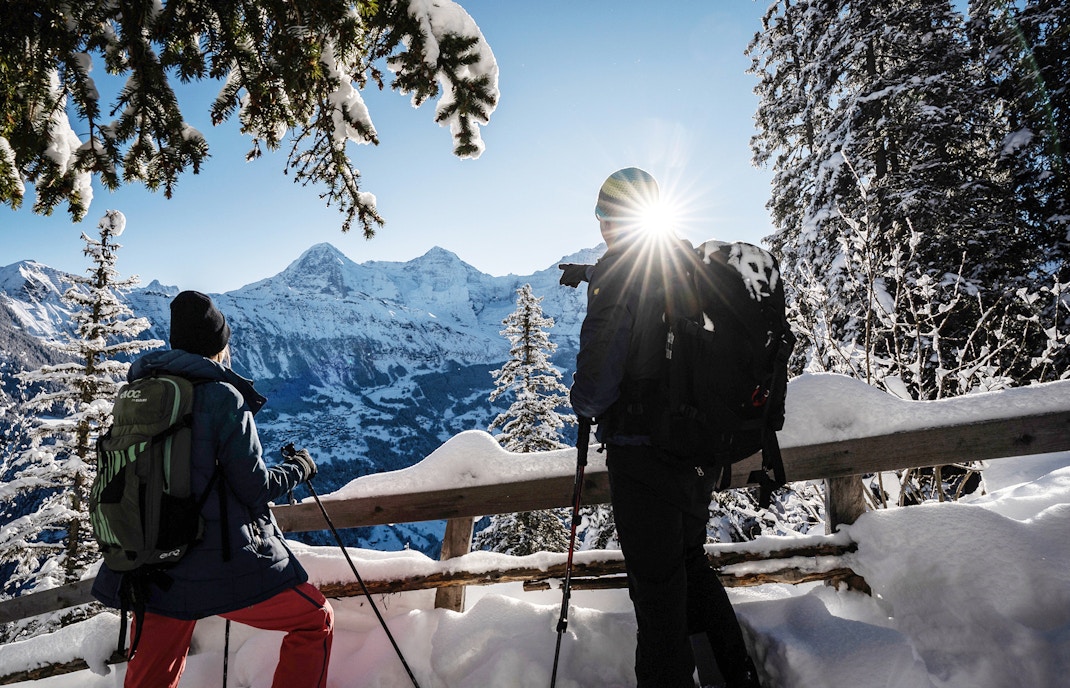 Snowshoeing in Interlaken