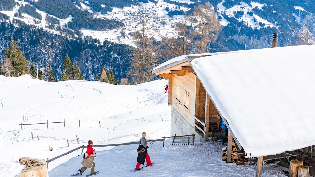 Snowshoeing in Interlaken