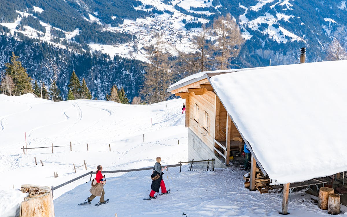 from interlaken: guided snowshoe tour isenfluh-9 from interlaken: guided snowshoe tour isenfluh-9