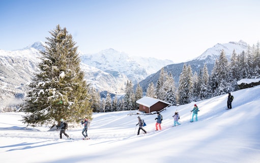 Snowshoe hikers on Isenfluh trail near Interlaken, surrounded by snowy mountains and trees.