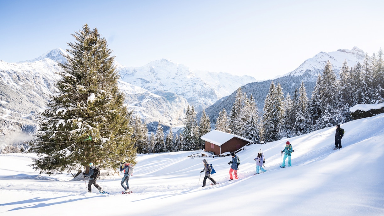 Snowshoeing in Interlaken