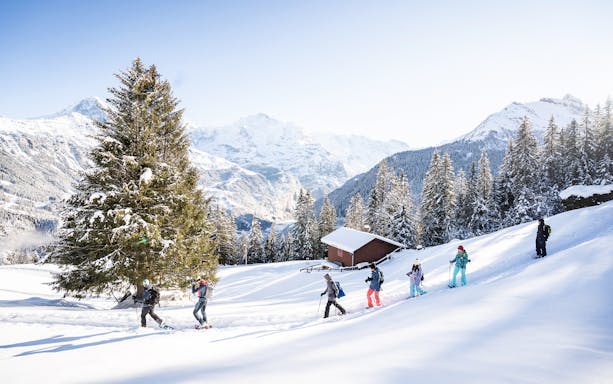 Snowshoe hikers on Isenfluh trail near Interlaken, surrounded by snowy mountains and trees.