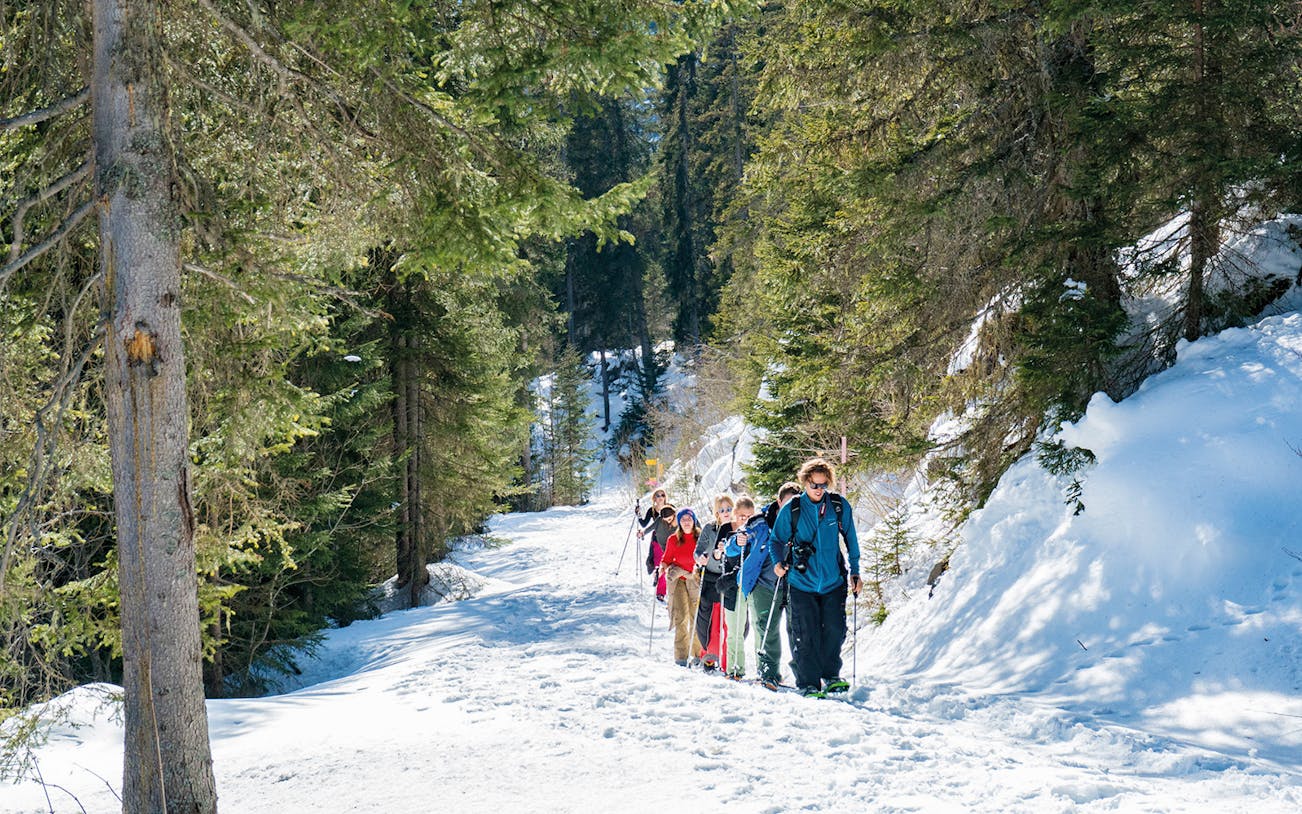 Group snowshoeing through snowy forest on Lombachalp guided tour.