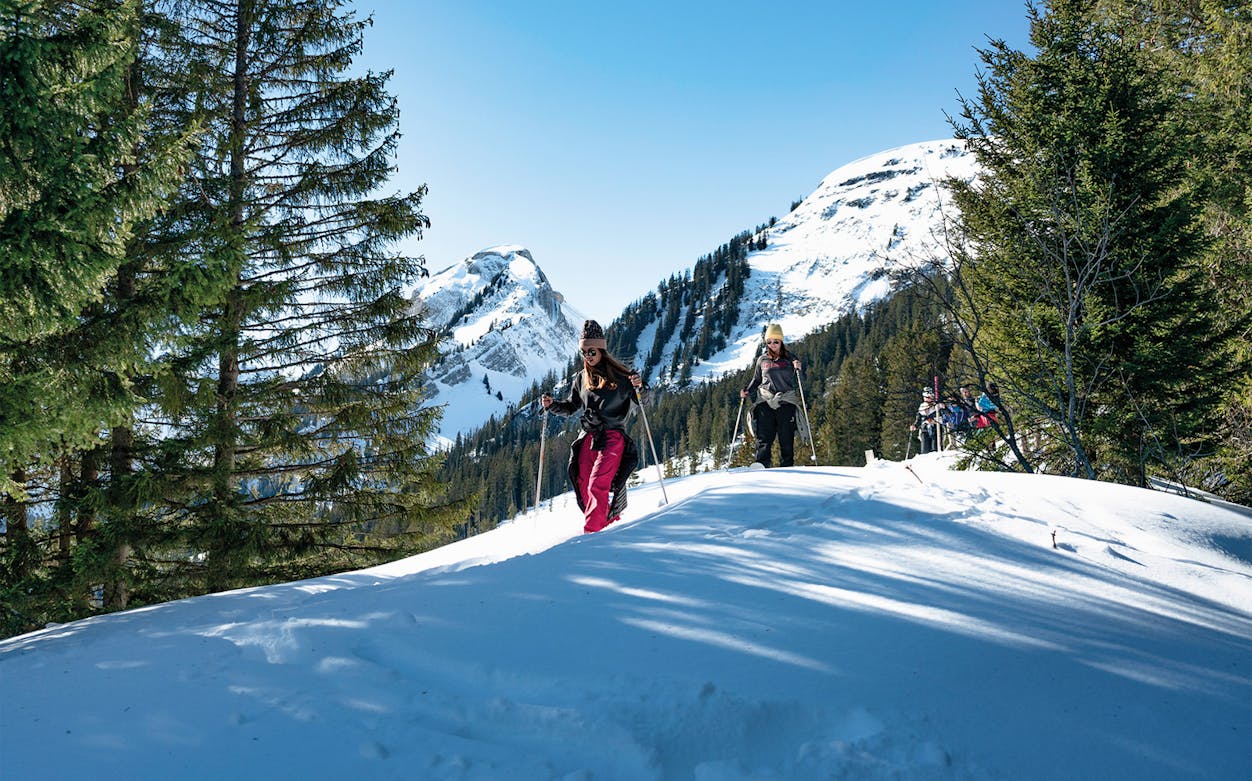 Snowshoers on a guided tour in snowy Wetterhorn Grindelwald, surrounded by pine trees and mountains.