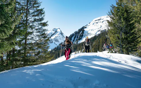 Snowshoers on a guided tour in snowy Wetterhorn Grindelwald, surrounded by pine trees and mountains.
