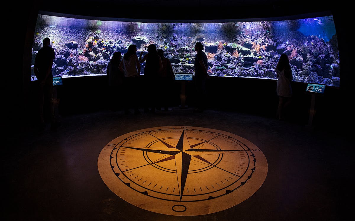 entradas para el acuario de sevilla-10 entradas para el acuario de sevilla-10
