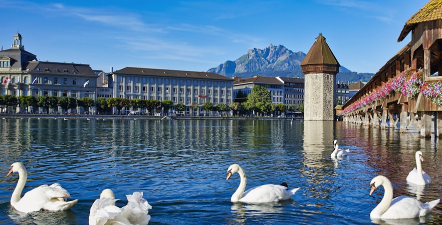 Zurich to Lucerne Tours: Swiss Charms Unveiled