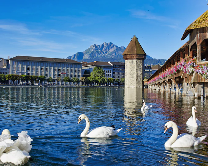 From Zürich: Lucerne Day Trip with Optional Motorboat Cruise